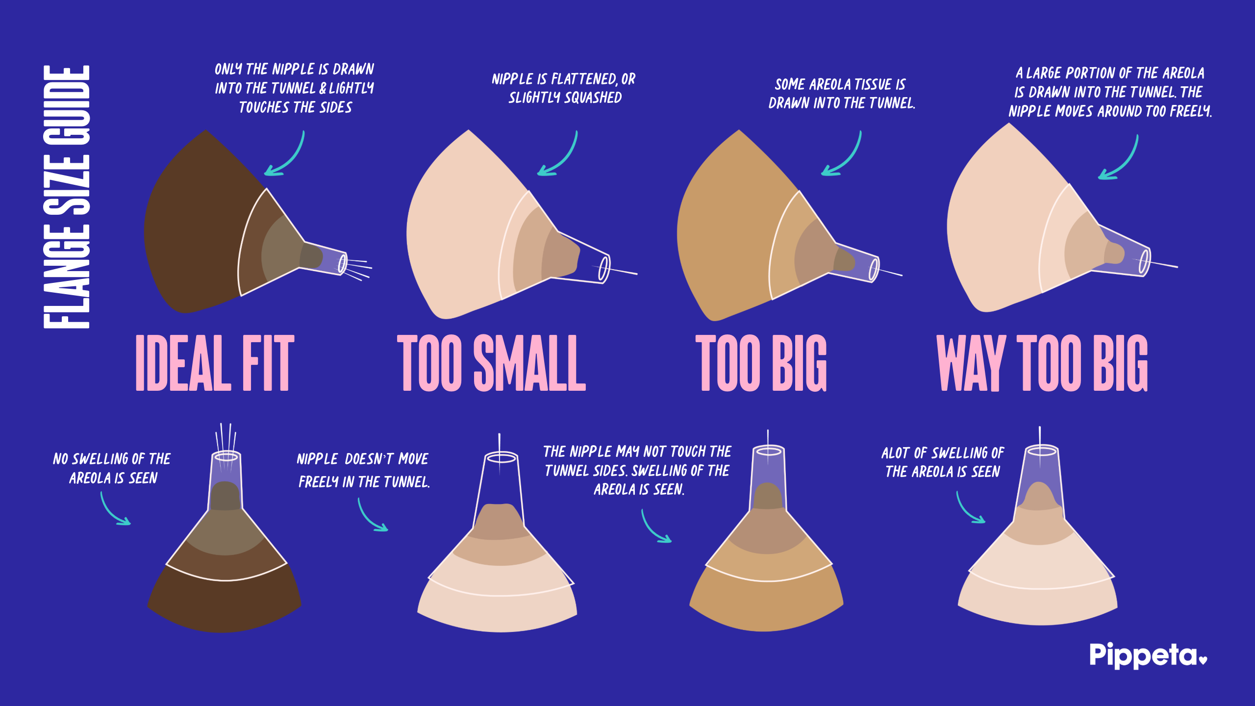 Pippeta’s Updated Guide to Choosing the Right Flange Size